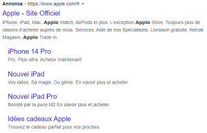 exemple-acheter-sa-marque-google-ads-apple (1)